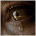 The Divide Images, Trailer and Review